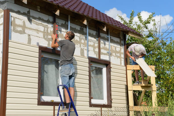 Best Historical Building Siding Restoration  in Davis Junction, IL