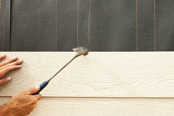 Best Custom Siding Design  in Davis Junction, IL