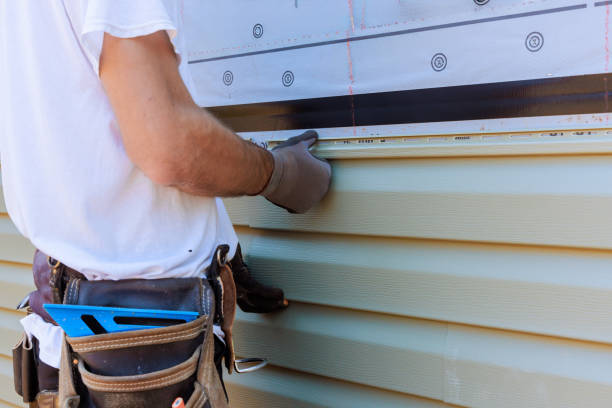 Best Custom Trim and Detailing for Siding  in Davis Junction, IL